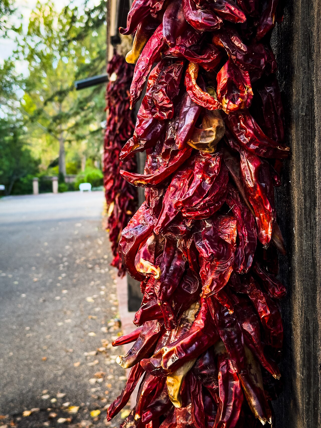 Chiles: The Heat That Built the Southwest